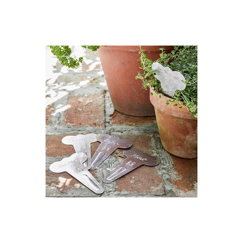 Burgon & Ball Sophie Conran Metal Herb Labels 6-Piece Set,