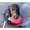 Floating Hand Frisbee Dogs and more from Berlin Fabric 'Small',