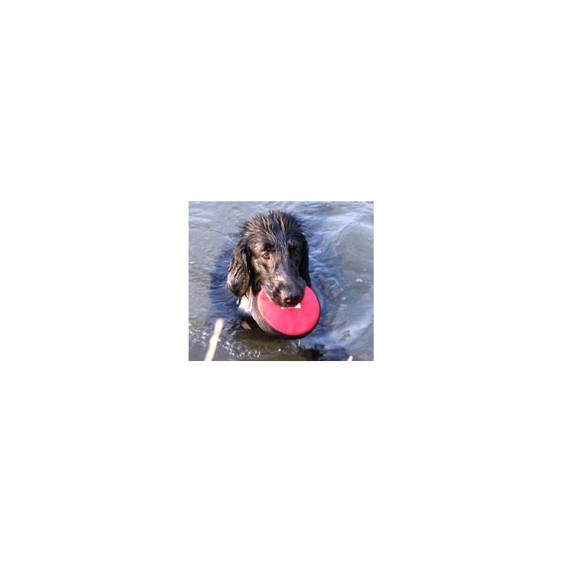 Floating Hand Frisbee Dogs and more from Berlin Fabric 'Small',