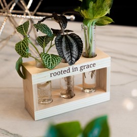 Plant Propagation Stations, Rooted in Grace: Plant Cutting Holder w/Propagation Vases for Plants, Unique & Encouraging for Women, Fun Indoor Planters, Christian Merch, Home Decor