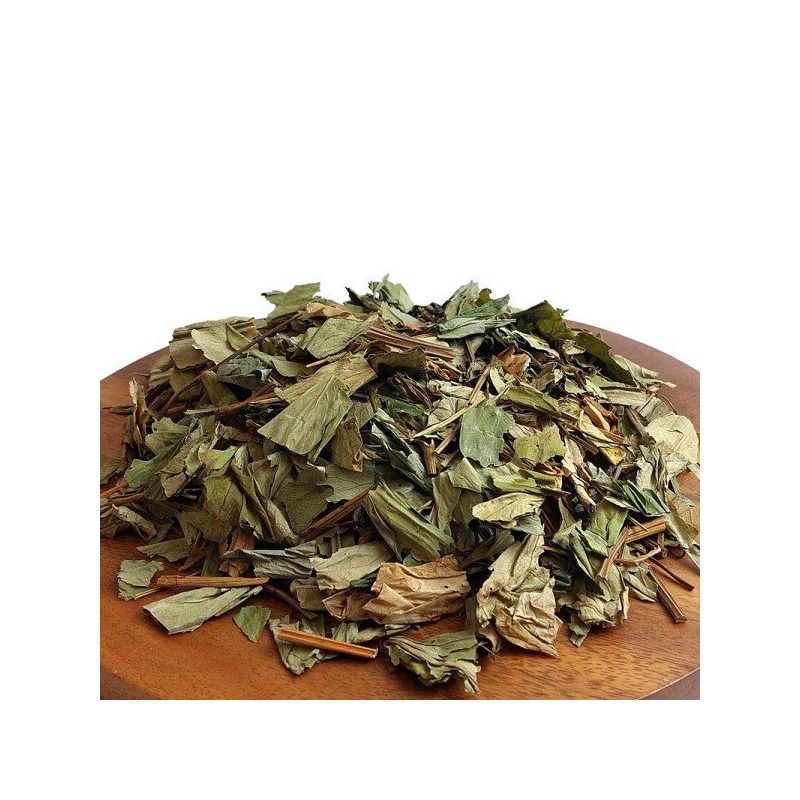 헬로우그린 국내산 삼백초 100gX2(팩) 총 200g Hello Green Domestic Sambaekcho