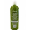 Shampoo Anticaída