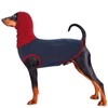 Mhaustlie Dog Jumper for Medium Dogs, Super Soft Greyhound Pullover,