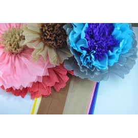 Crepe Paper 12 Different Colors Flower Making Art Projects Crepe Paper