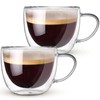 Hlukana Double Walled Glass Coffee Mugs Set of 2, 8