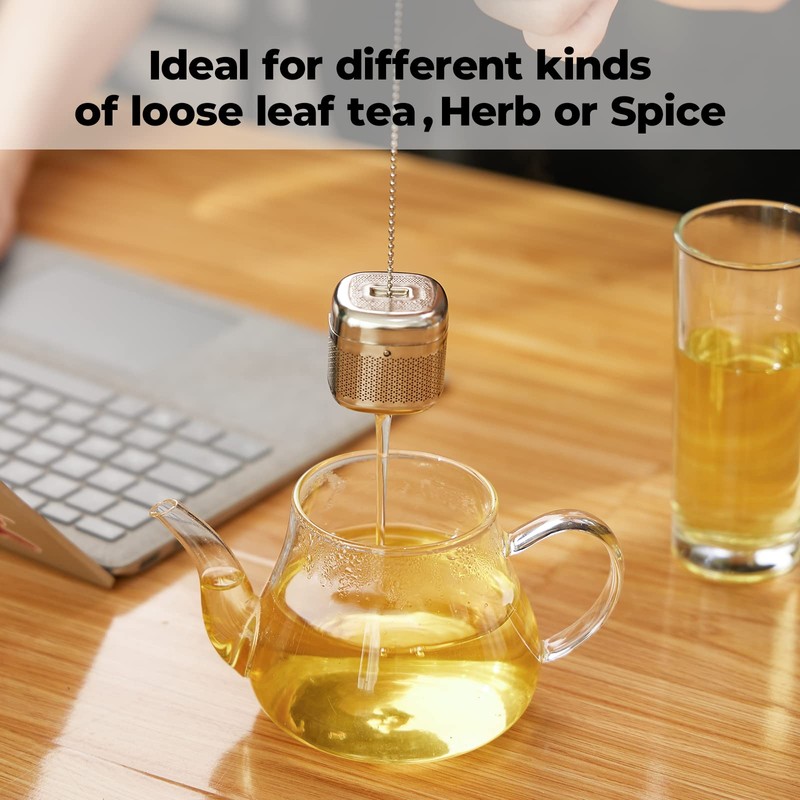 Reinmoson Tea Balls for Loose Tea, 304 Stainless Steel Extra