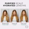 L’Oréal Paris Elvive Hydra Pure Routine for Oily Roots, Scalp