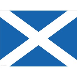 Place Mats Made of Premium Paper – Scotland Flag – Pack of 10 – High-Quality Table Decoration 44 x 32 cm Ideal Decoration for Scottish Parties or Theme Nights