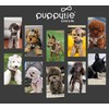 Puppytie No Pull Dog Harness with Multifunction Dog Leash,Soft Adjustable