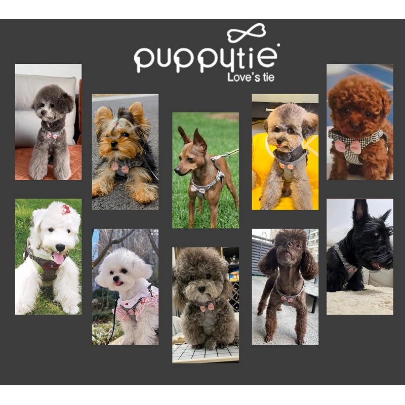 Puppytie No Pull Dog Harness with Multifunction Dog Leash,Soft Adjustable