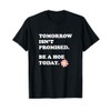 Tomorrow Isn’t Promised Be A Hoe Today Apparel T-Shirt