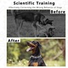Maiiu Adjustable Dog Collar, Pinch Collar for Dogs,Dog Training Collar