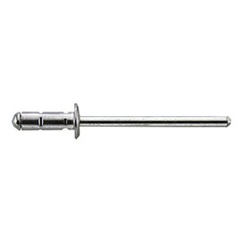 Gesipa 1433850" PolyGrip Aluminium/Steel Blind Rivets, Silver, 4.8 x 10 mm, Set of 100 Piece
