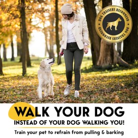 Adjustable No Pull Dog Traning Collar with Buckle for Small Medium Large Dogs (Packed with Extra Links)