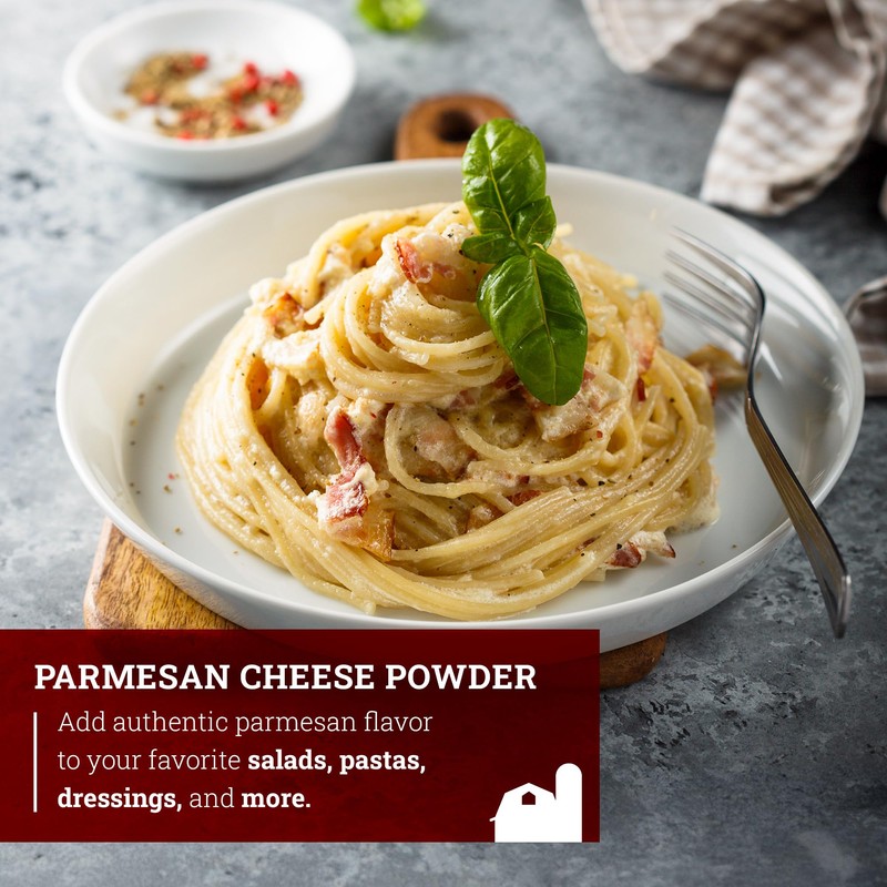 Hoosier Hill Farm Parmesan Cheese Powder, 1LB (Pack of 1)