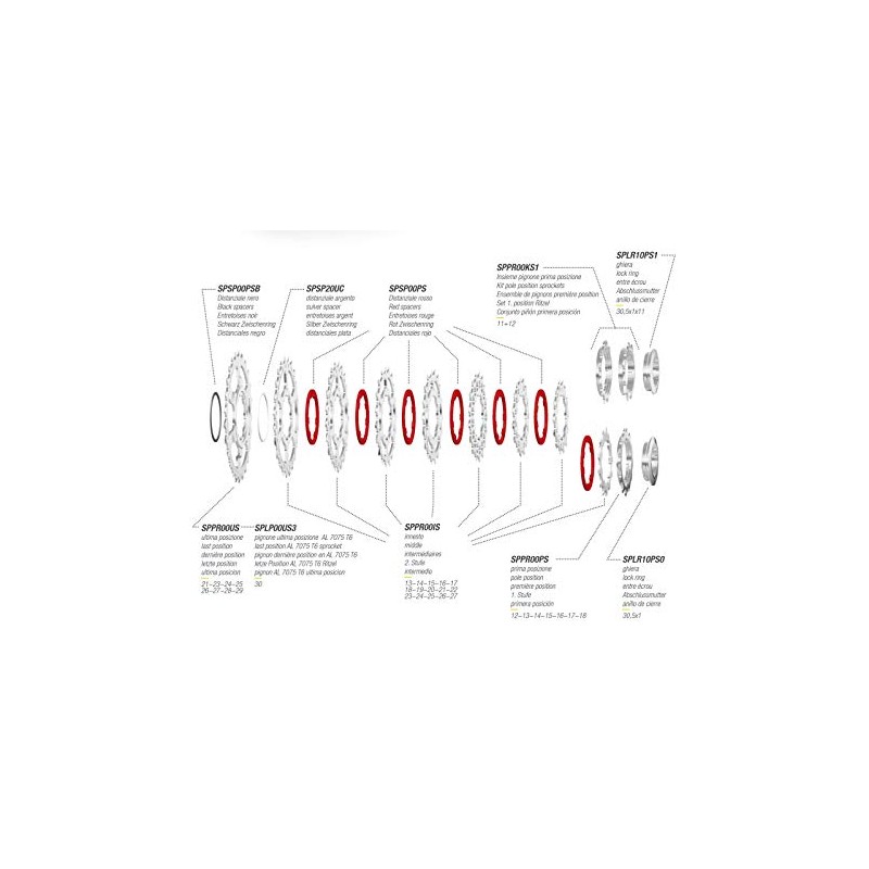 Miche Unisex's Primato 10 Speed Shimano Cassette, 12/27