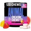 Animal Creatine Chew Fruit Punch Chewable 120 tablets, 1 pack / 애니멀 크레아틴 츄 프루트 펀치 츄어블 120정, 1개