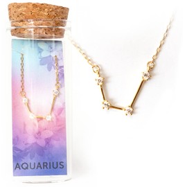 Aquarius 18k Gold Constellation Zodiac Necklace Gift Set, Aquarius Gifts for Women, Teens, Birth Flower Gift for Her