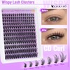 EYDEVRO Wispy Cluster Lashes Kit Natural Eyelashes Individual Kit 192
