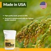 Old Potters Wildlife Organic White Millet for Bird Feeding and