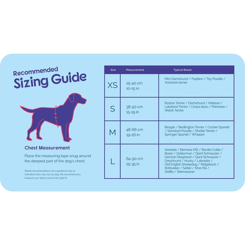 HALTI Walking Harness, Size Medium, Blue, Best Lightweight Dog Harness