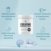 Instant Creatine Monohydrate Powder, 5g Per Serving – 120 Servings