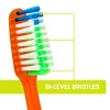 Reach Assorted Toothbrush Value Pack Of 6 For Family Plaque