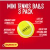 Ruffin' It Small Tennis Balls - Small Sized Dog Toy