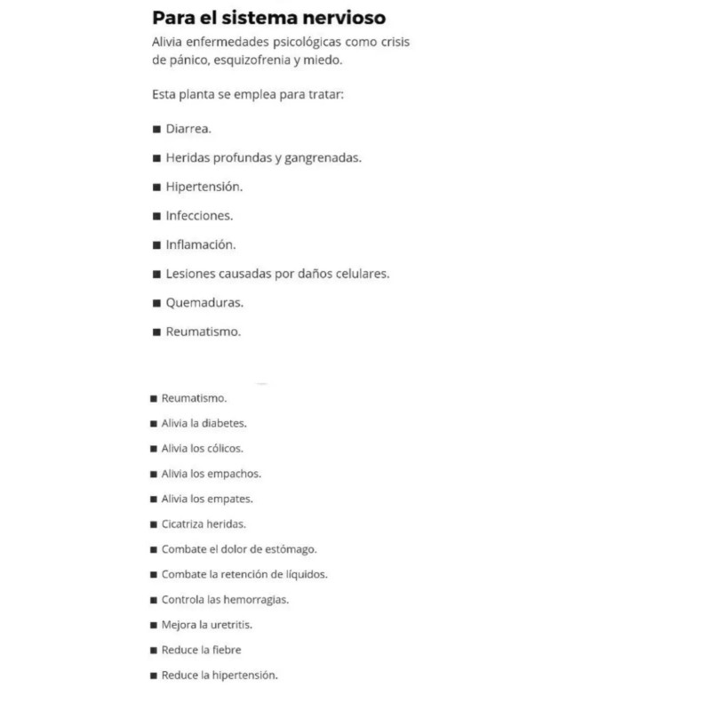 hoja de bruja para te o extracto bruja Mala Madre