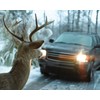 BELL Automotive 22-1-01000-8 Deer Warning Black, Helps Reduce Accidents, Alert