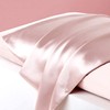 Light Pink Silk Pillow Cases Zipper Closure-Real Silk Pillowcase for