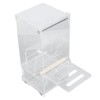 Automatic Parrot Feeder Prevent Spills Splashes Large Capacity Acrylic Transparent