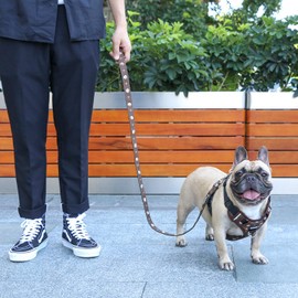 iChoue Dog Vest Harness Leash Set Soft Padded No Pull Adjustable Reflective for Small Medium Dogs - Coffee Bean M