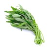 Fairy7Seas Thai Water Spinach SEEDS, Green Stem ChingQuat, KongXinCai,Ong -
