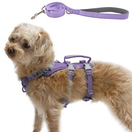 Wuffley Escape Proof Dog Harness and Leash Set, Lightweight Dog Harness with Lift and Assist Handle, No Pull Reflective Pet Vest for Small Medium Dogs, Ideal for Puppy Walking and Training (Purple,XS)