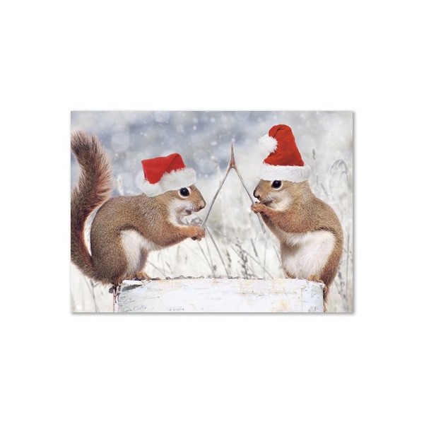 Northern Exposure Pair of Squirrels in Santa Hats with a Wishbone Making Wishes Box 12 Holiday Christmas Cards