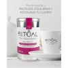 Té Verde LONGEVITY BOOSTER con Reishi – 150 g Orgánico
