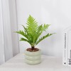 SANDYBAYTAS Ceramic Plant Pot Indoor, 4.5 Inch Flower Pot with