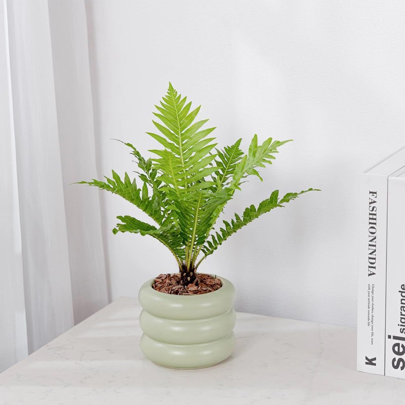 SANDYBAYTAS Ceramic Plant Pot Indoor, 4.5 Inch Flower Pot with