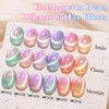 Double Rhythm Cat Eye Gel Nail Polish Set of 6