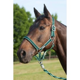 USG 15050007 Halfter, silberfarbene Beschläge, Soft unterlegt, Dunkelgrün/Hellgrün, Warmblut