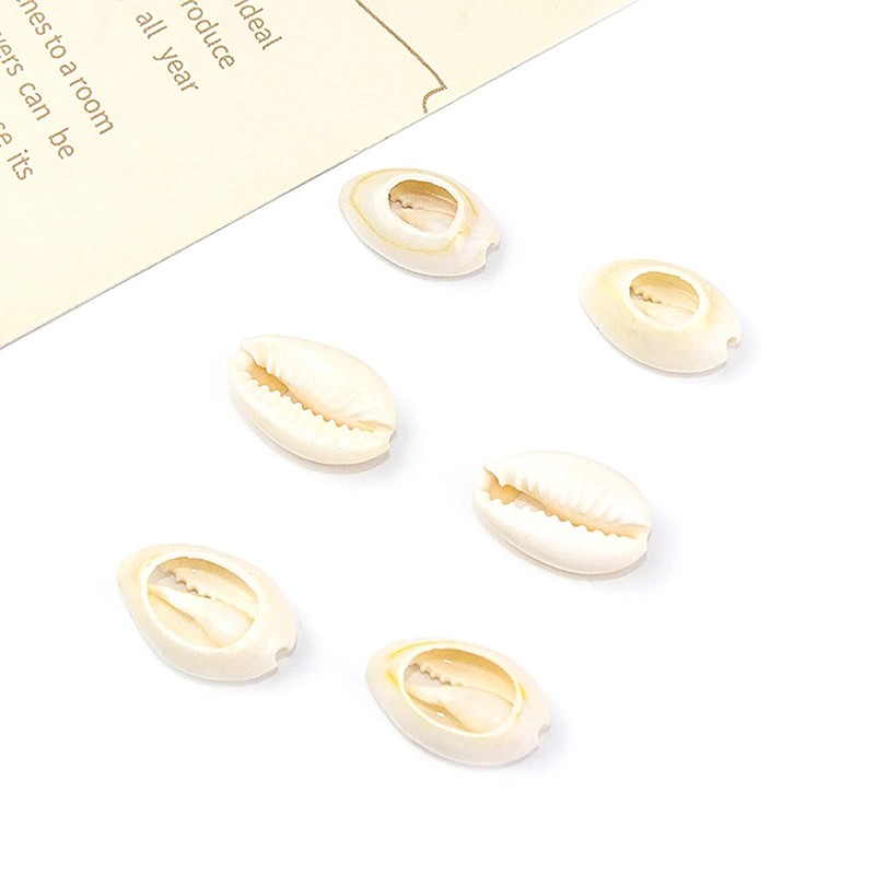 500pcs Gray 20mm Natural Spiral Shell Beads Smooth Cut Oval