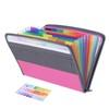 Fun File Organiser,13 Pockets Folder Document Organiser Box Files and