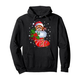 Red Panda In Christmas Socks Santa Claus Lights Xmas Pullover Hoodie