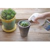 Hanagokoro Succulent & Air Plants Vitality Hari Gloss Moisturizing Liquid,
