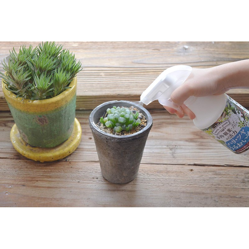 Hanagokoro Succulent & Air Plants Vitality Hari Gloss Moisturizing Liquid,