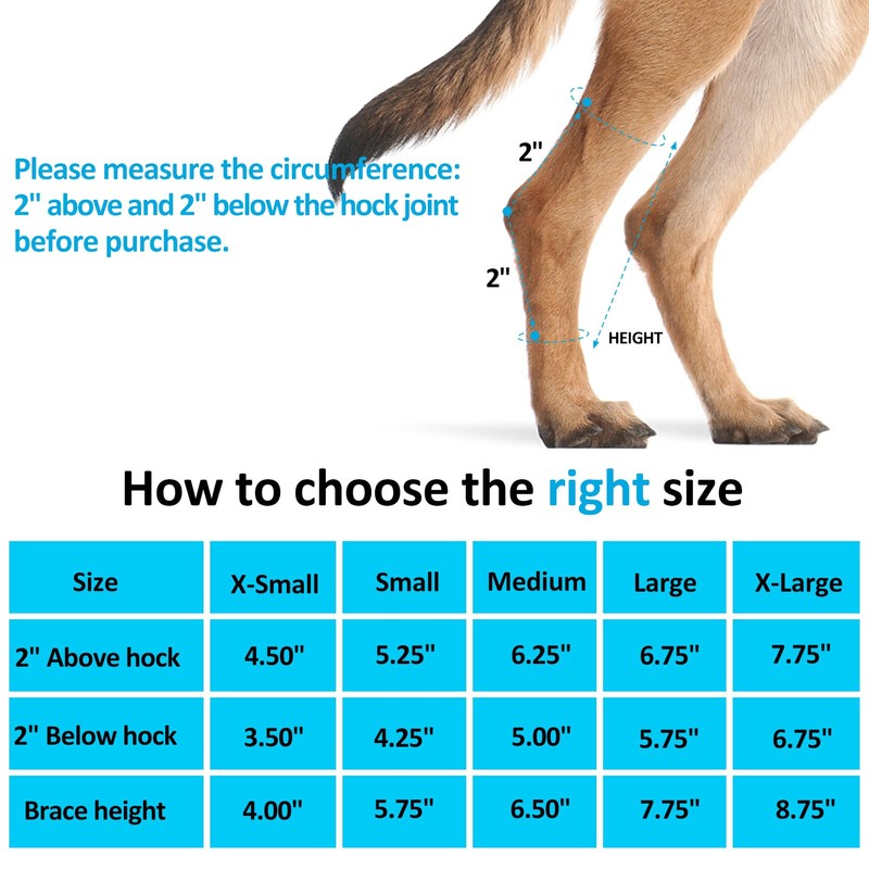 Bawektrl Dog Leg Braces for Back Legs, Canine Hock Brace