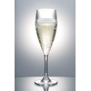Glassjacks Ltd PLASTIC CHAMPAGNE FLUTE - EPERNAY | Reuse 1000's