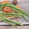 HUIANER Artificial Green Long Beans 6pcs Fake Long Bean Faux
