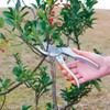 Takagi Sun Garden Pruning Shears, Aluminum Die-Cast, 7.9 inches (200